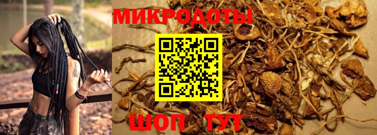 Каннабис Шелехов