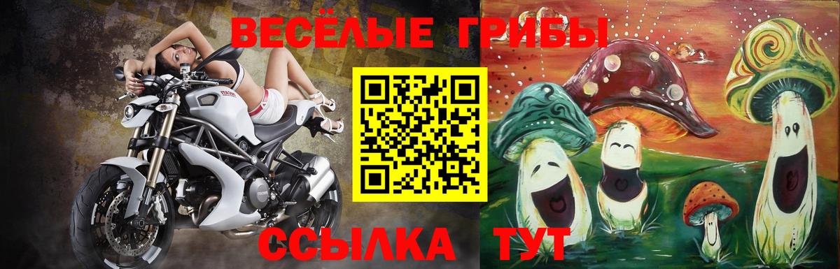 Галлюциногенные грибы GOLDEN TEACHER  Вход с VPN  Шелехов 